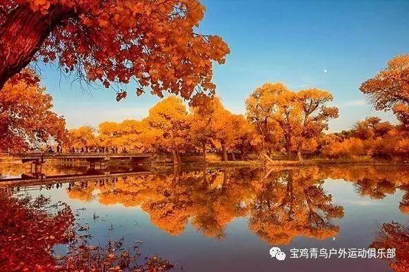 海贼王伟大冒险2